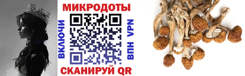 Псилоцибиновые грибы MAGIC MUSHROOMS  Купить где  Михайлов 